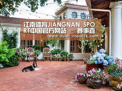 客户案例标题九