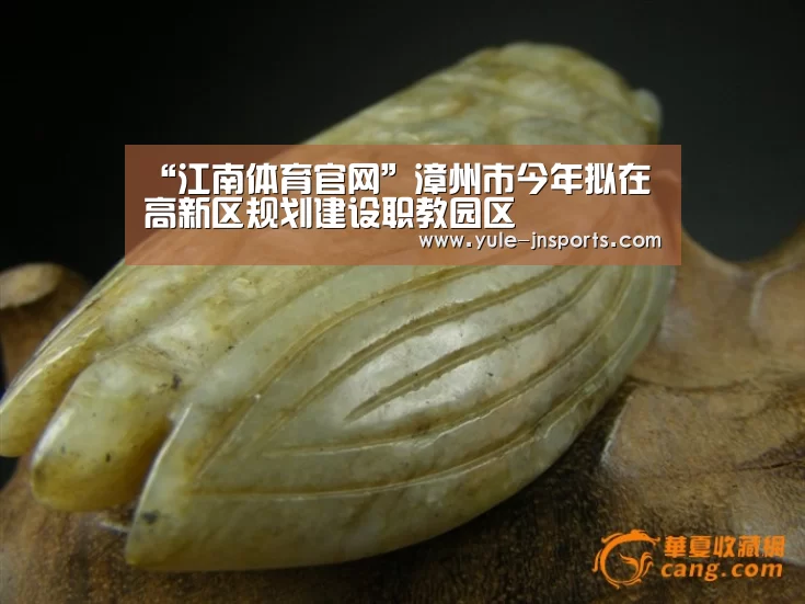 “江南体育官网”漳州市今年拟在高新区规划建设职教园区(图4) 江南体育app