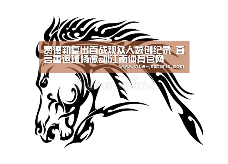 费德勒复出首战观众人数创纪录 直言重返球场激动|江南体育官网(图2) 江南体育官网
